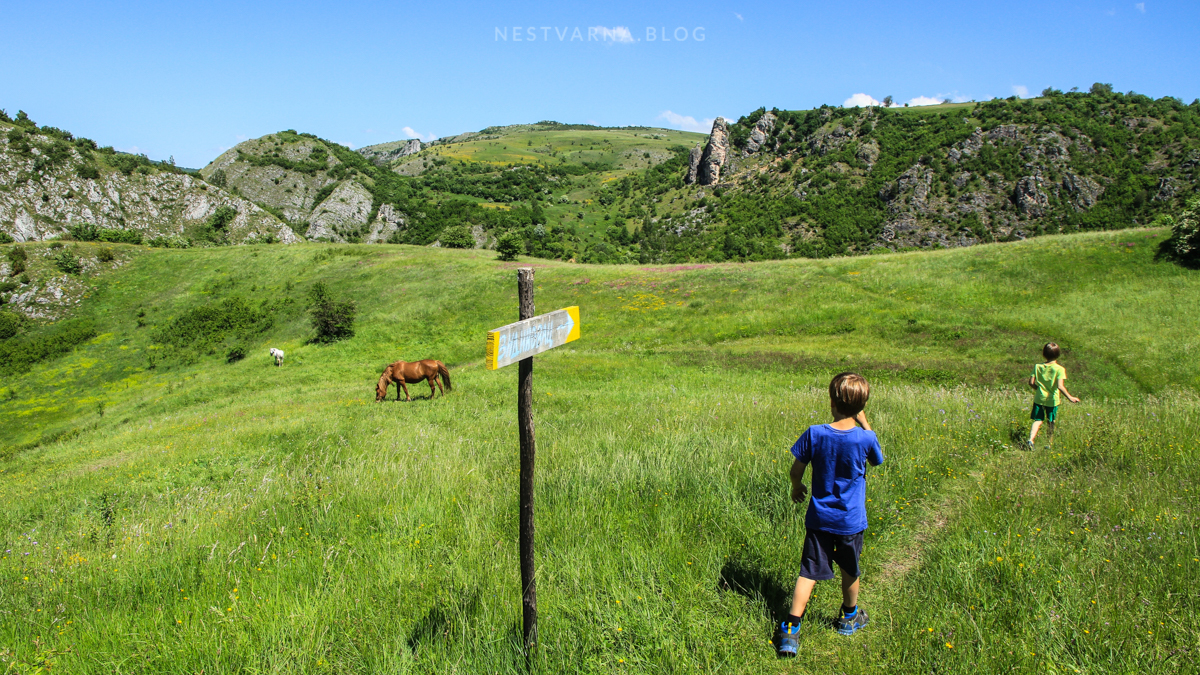 Идила, лепота, зелена Србија.