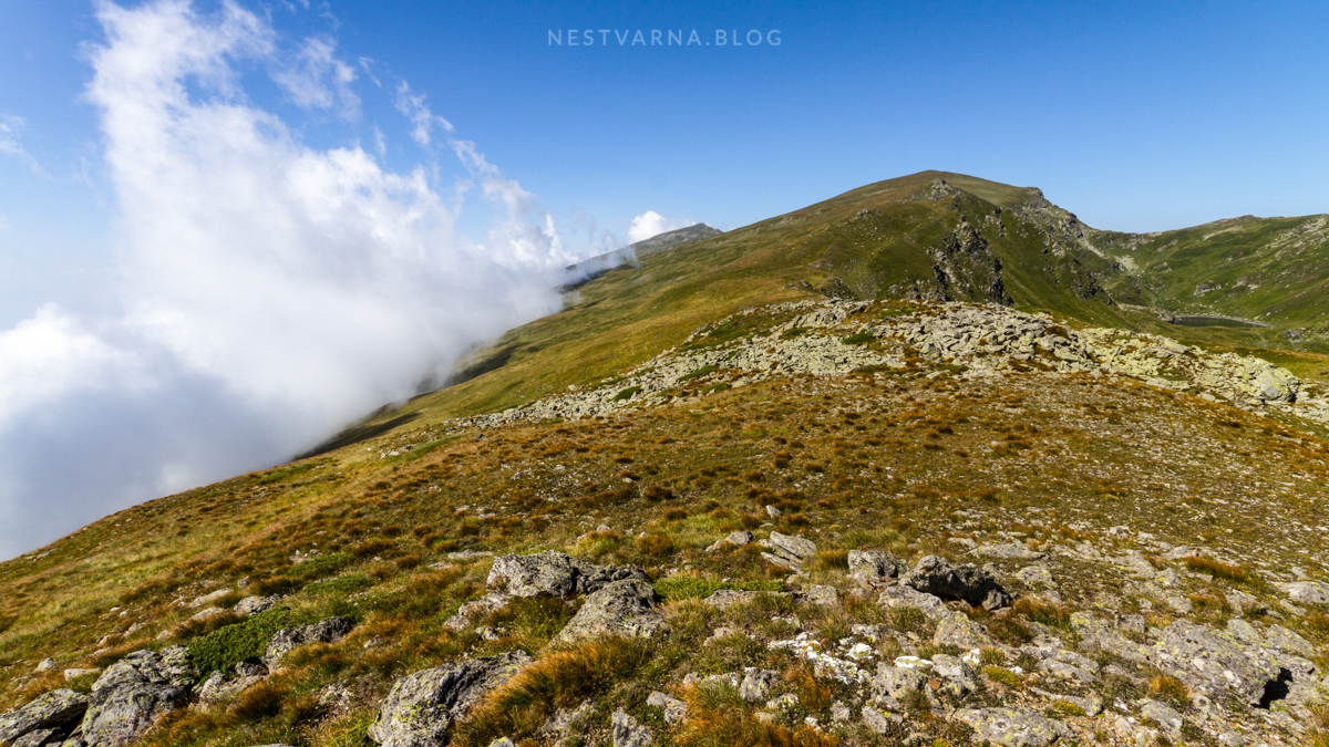 Ljuboten-Brezovica-Sar-Planina-2015-Xtra-2