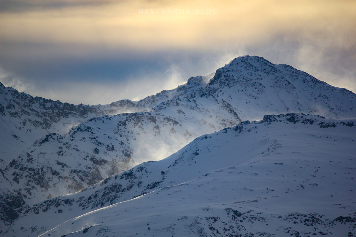 Šar Planina Ošljak Kobilica