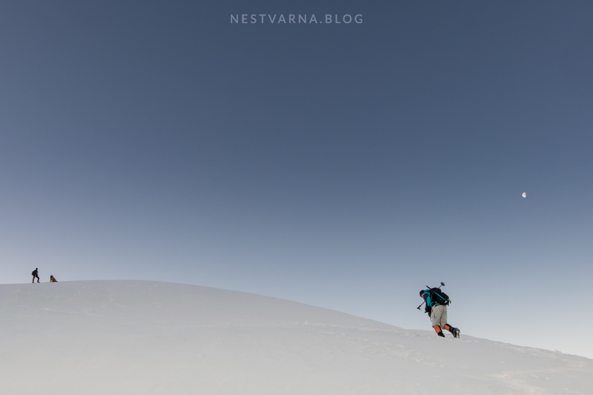 šar planina brezovica sharr