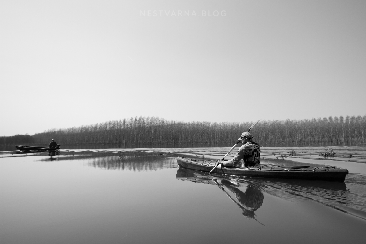 Obedska Bara 2016 Kajak-2