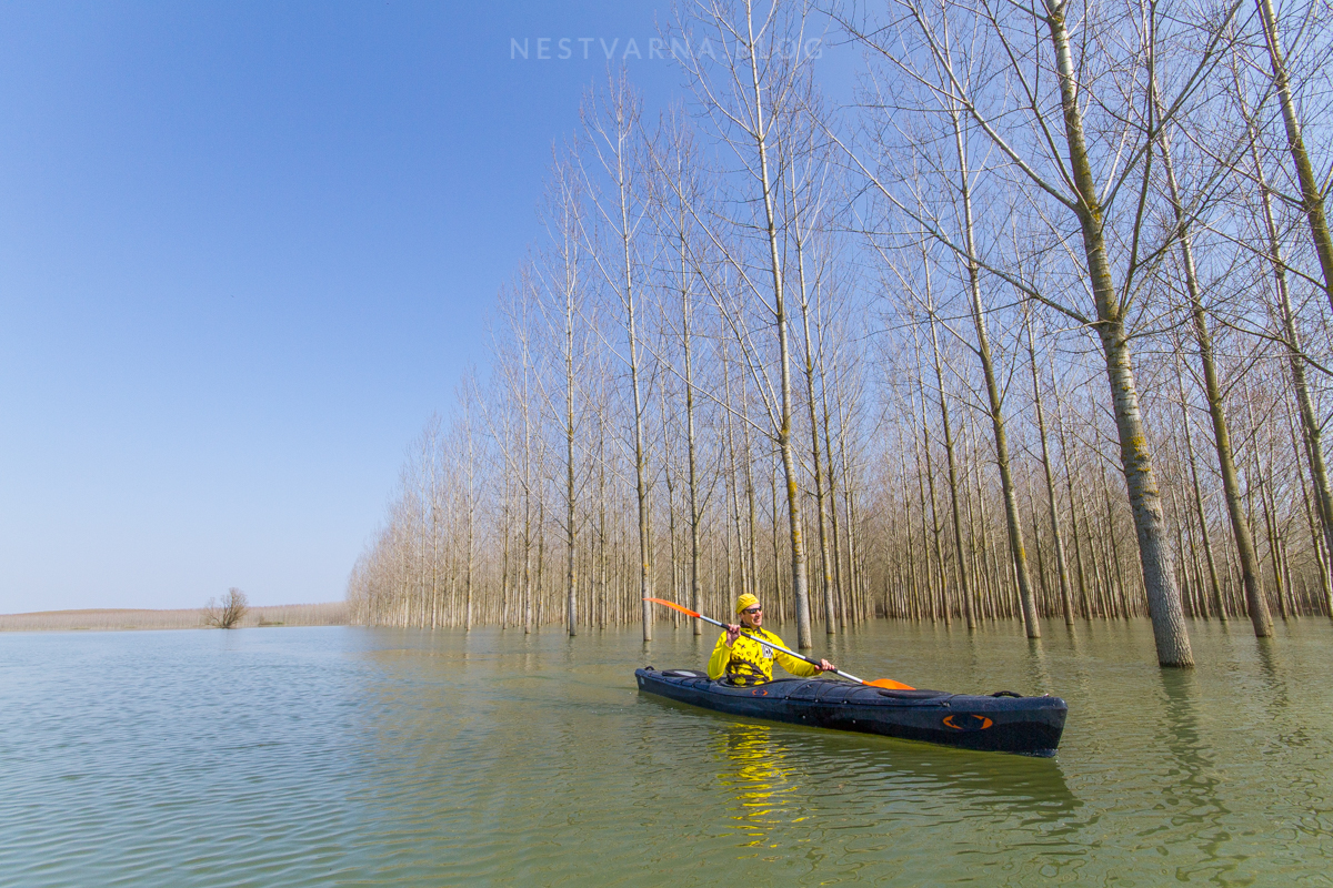 Obedska Bara 2016 Kajak-23