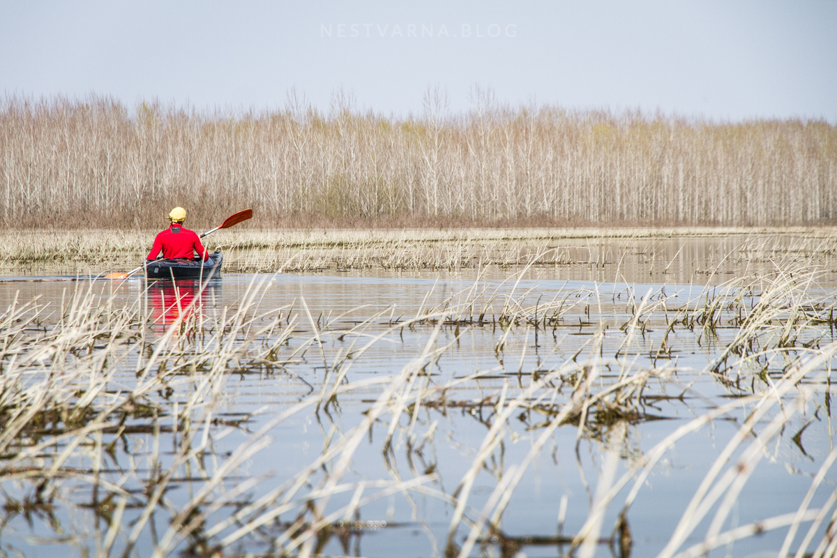 Obedska Bara 2016 Kajak-28