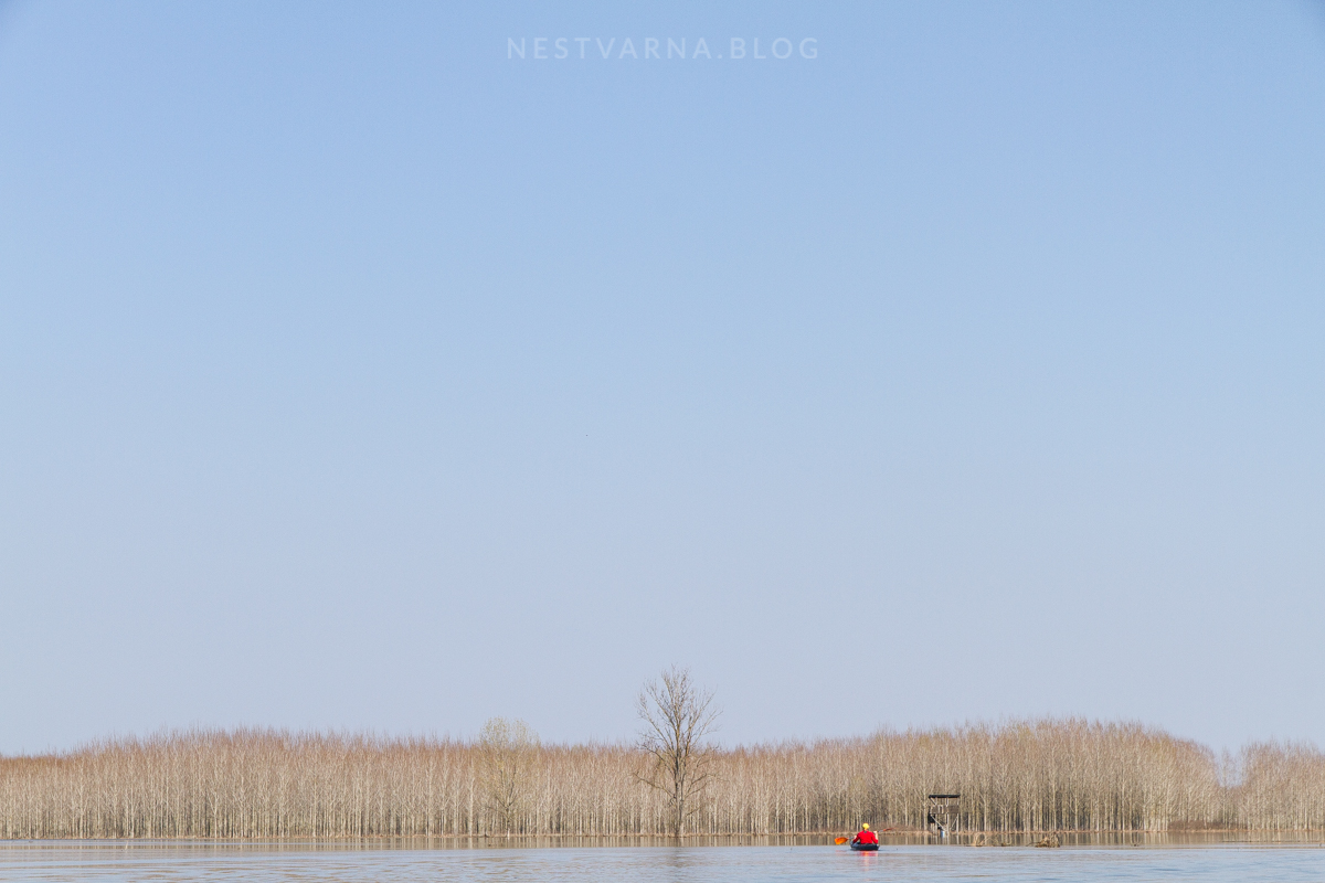 Obedska Bara 2016 Kajak-29