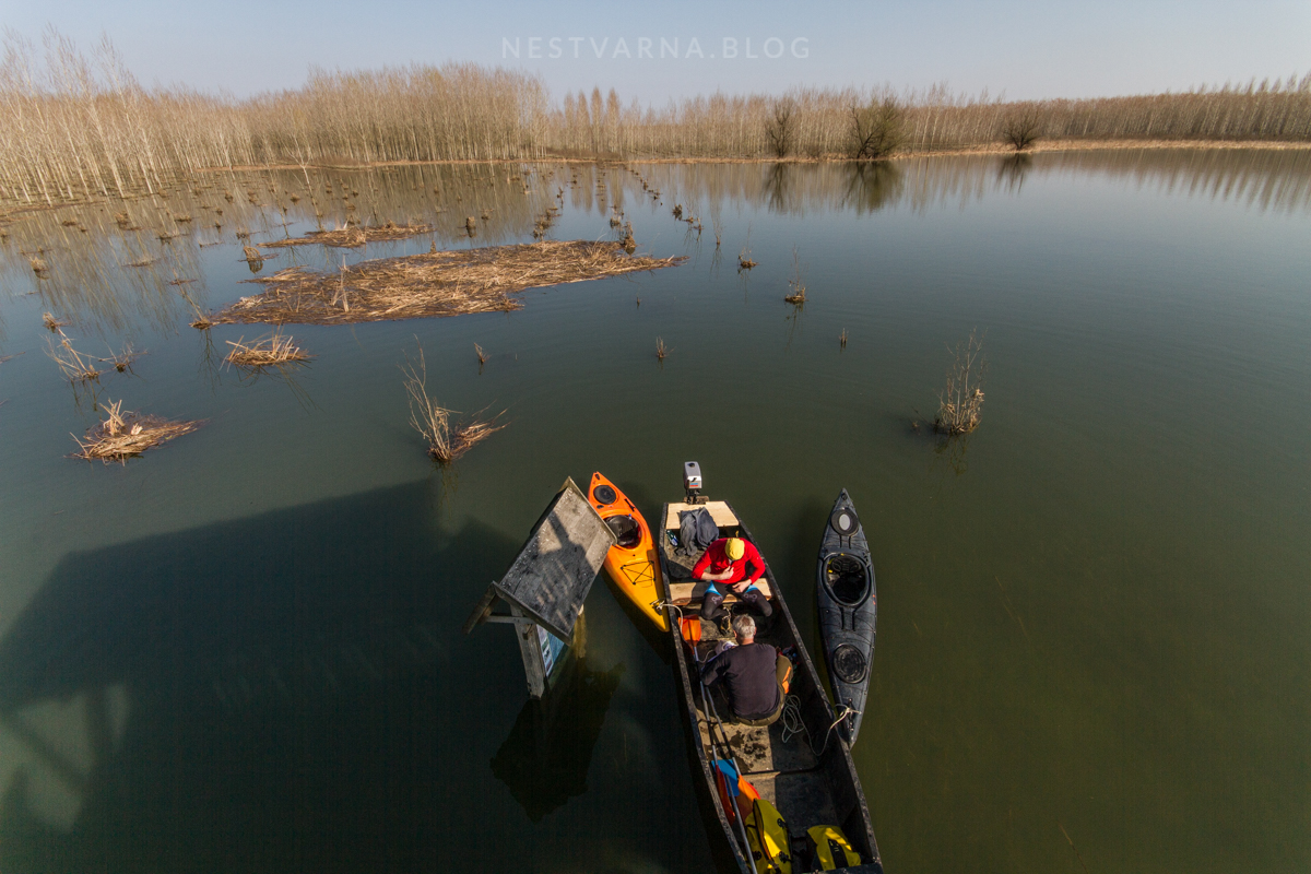Obedska Bara 2016 Kajak-32