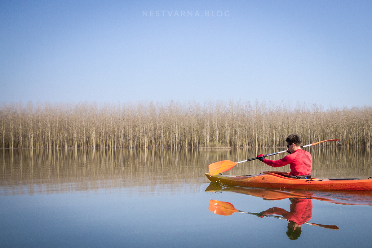 Obedska Bara 2016 Kajak-35