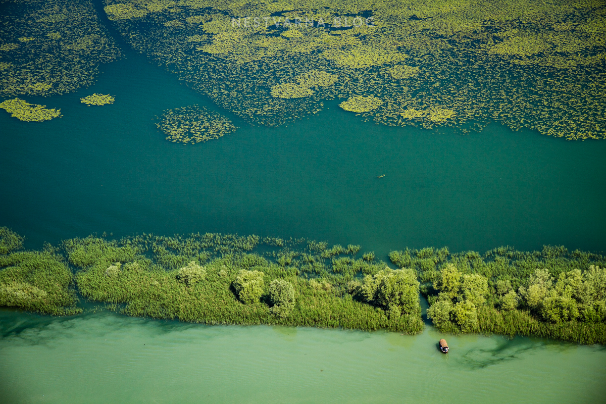 Skadarsko Jezero 2016-19
