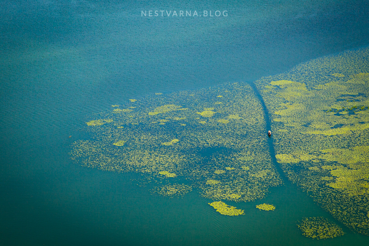 Skadarsko Jezero 2016-20