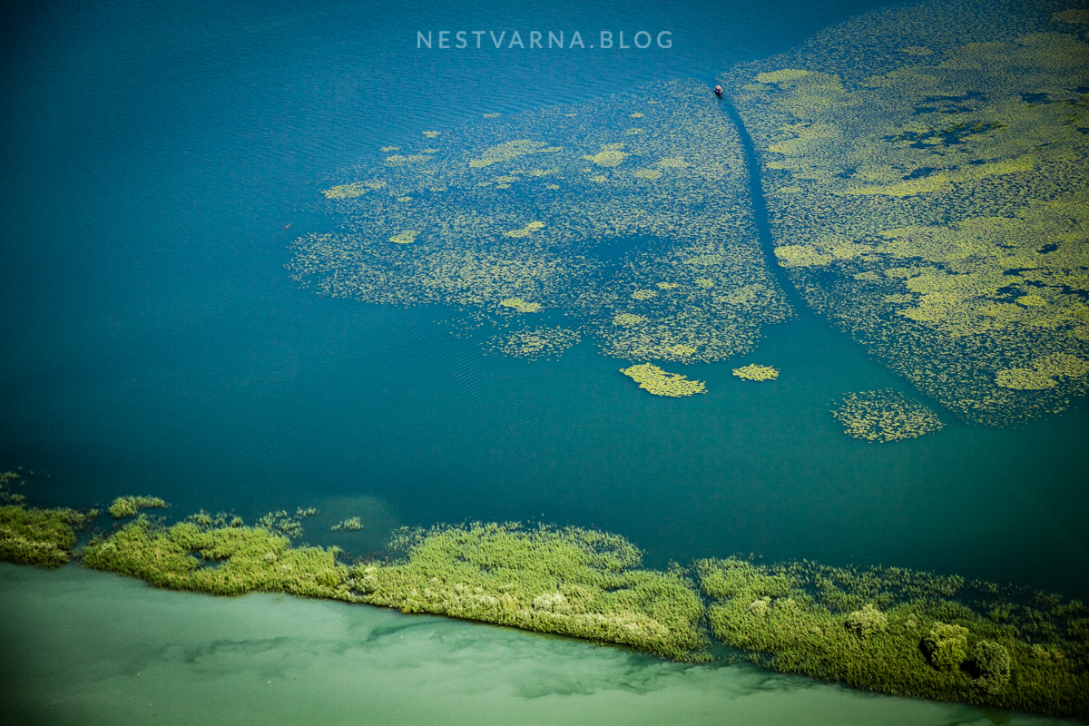 Skadarsko Jezero 2016-22