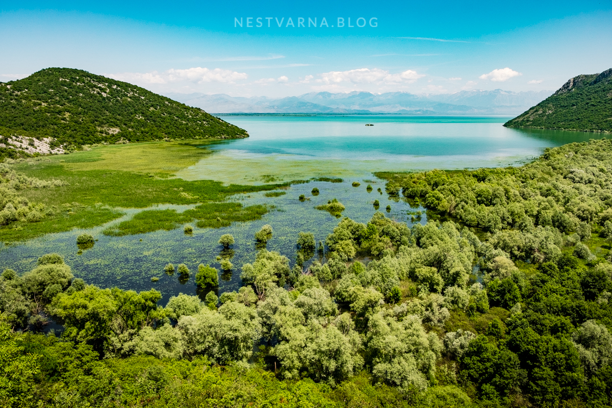 Skadarsko Jezero 2016-59