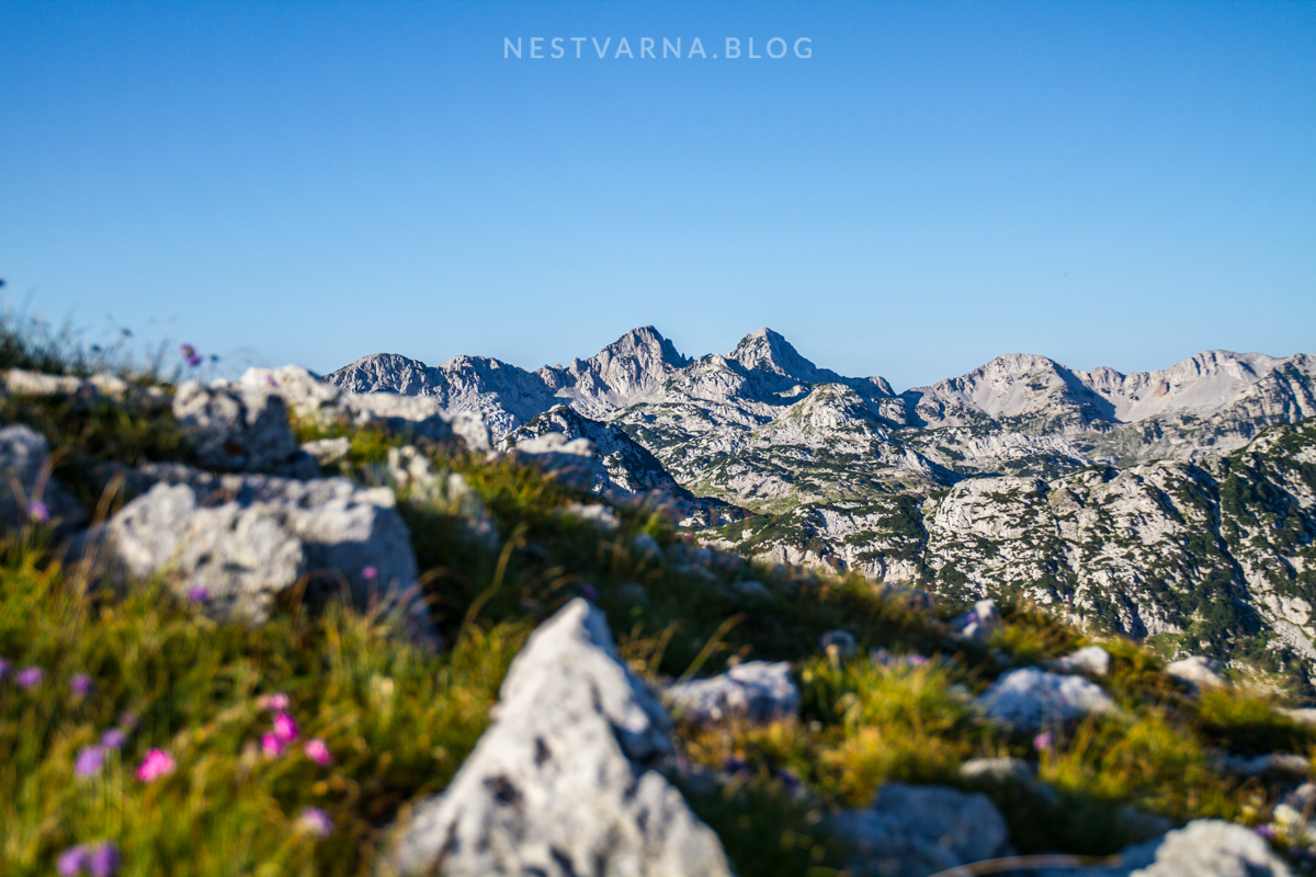 Prenj - Zelena Glava-2