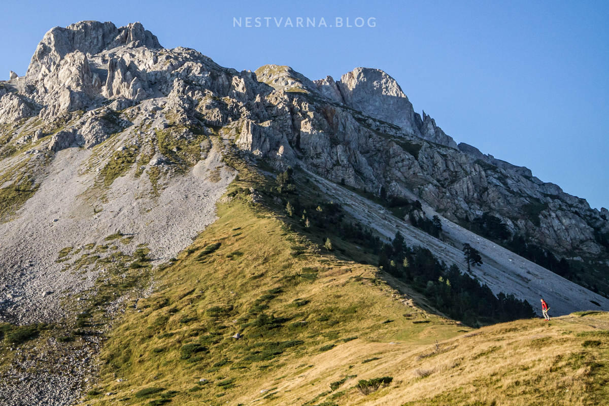 Komovi Kucki Vasojevicki Kom-22