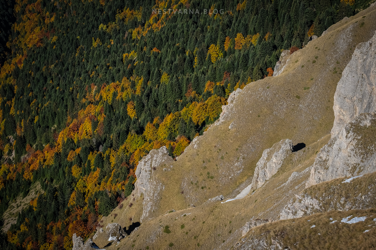 Sar-Planina-Plat-Sreden-Kamen-18