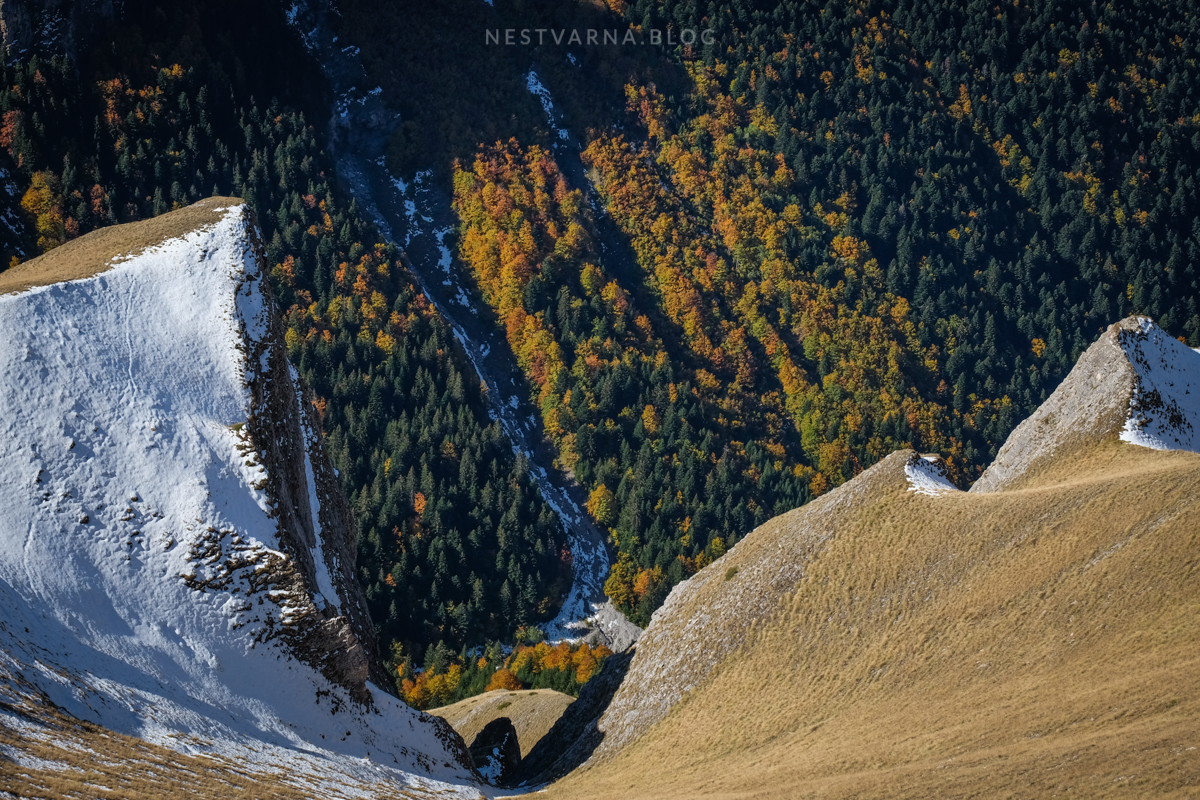 Sar-Planina-Plat-Sreden-Kamen-19