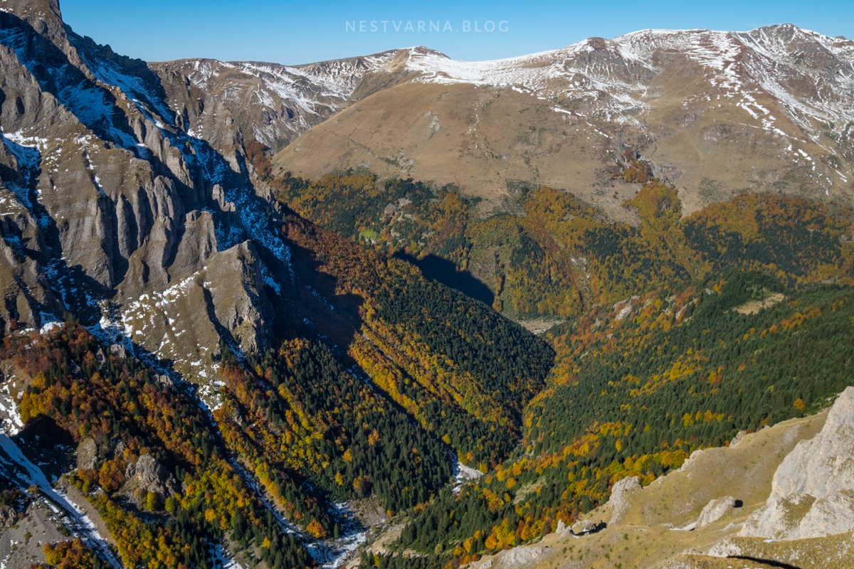 Sar-Planina-Plat-Sreden-Kamen-4