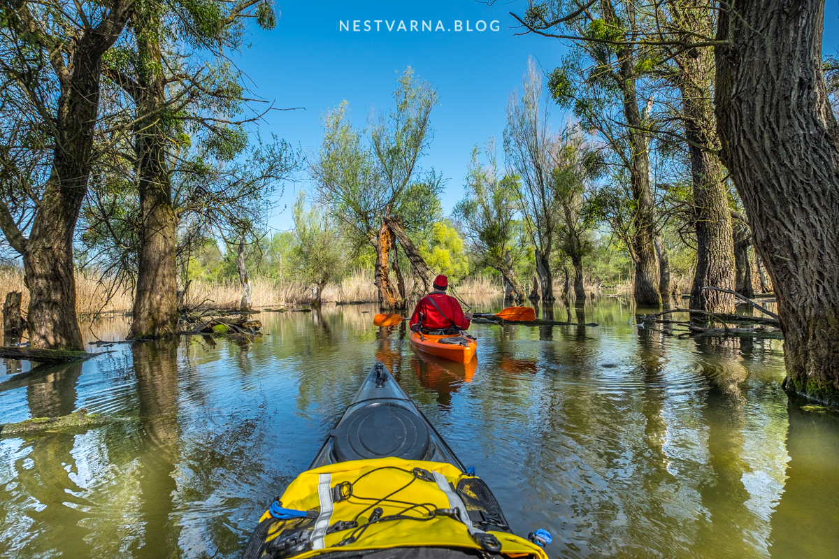 Gornje Podunavlje-14