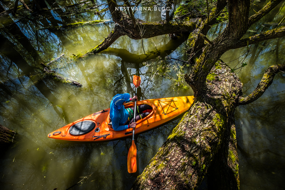 Gornje Podunavlje-21