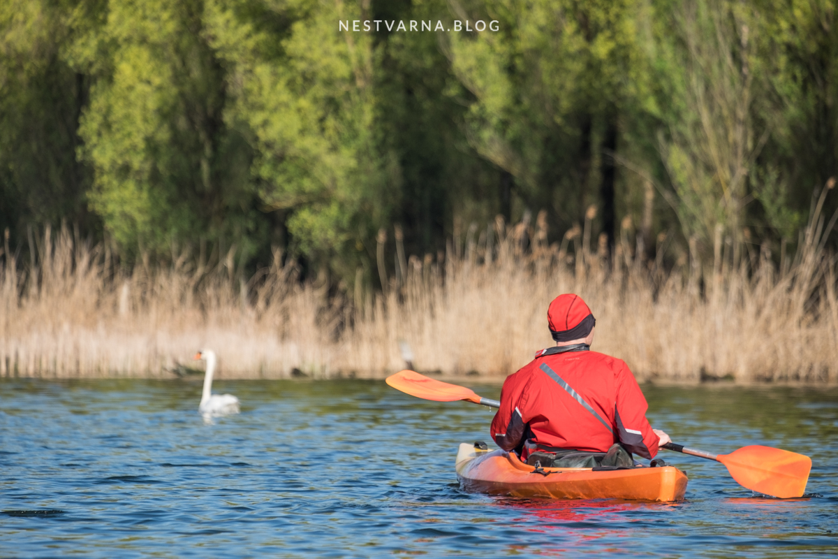 Gornje Podunavlje-23