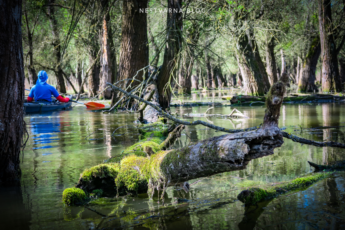 Gornje Podunavlje-30