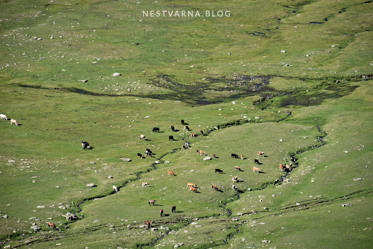 Rilska jezera - Rila Lakes-27