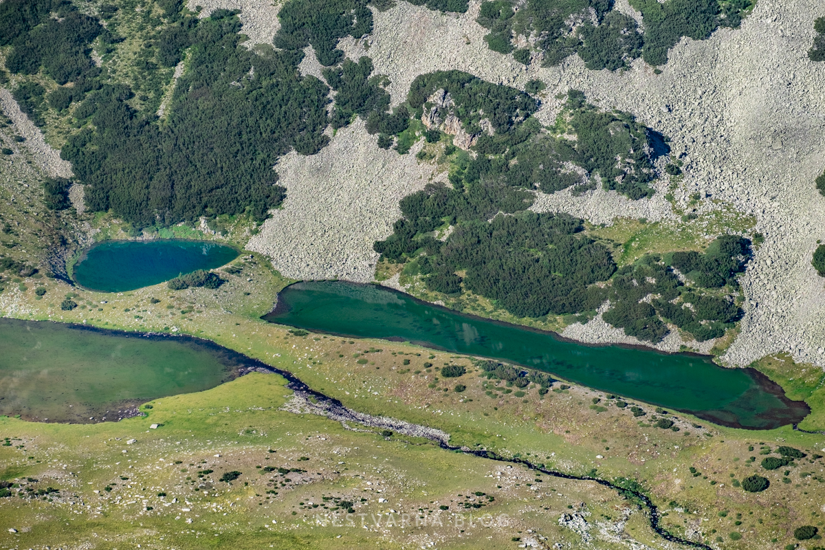 Pirin Vihren Koncheto-48