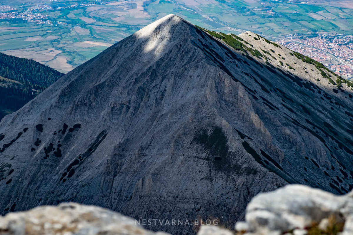 Pirin Vihren Koncheto Kutelo-2
