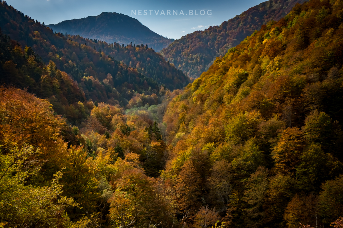Sutjeska Zelengora Gornje Bare-31
