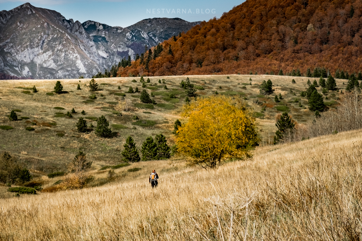 Sutjeska Zelengora Gornje Bare-38