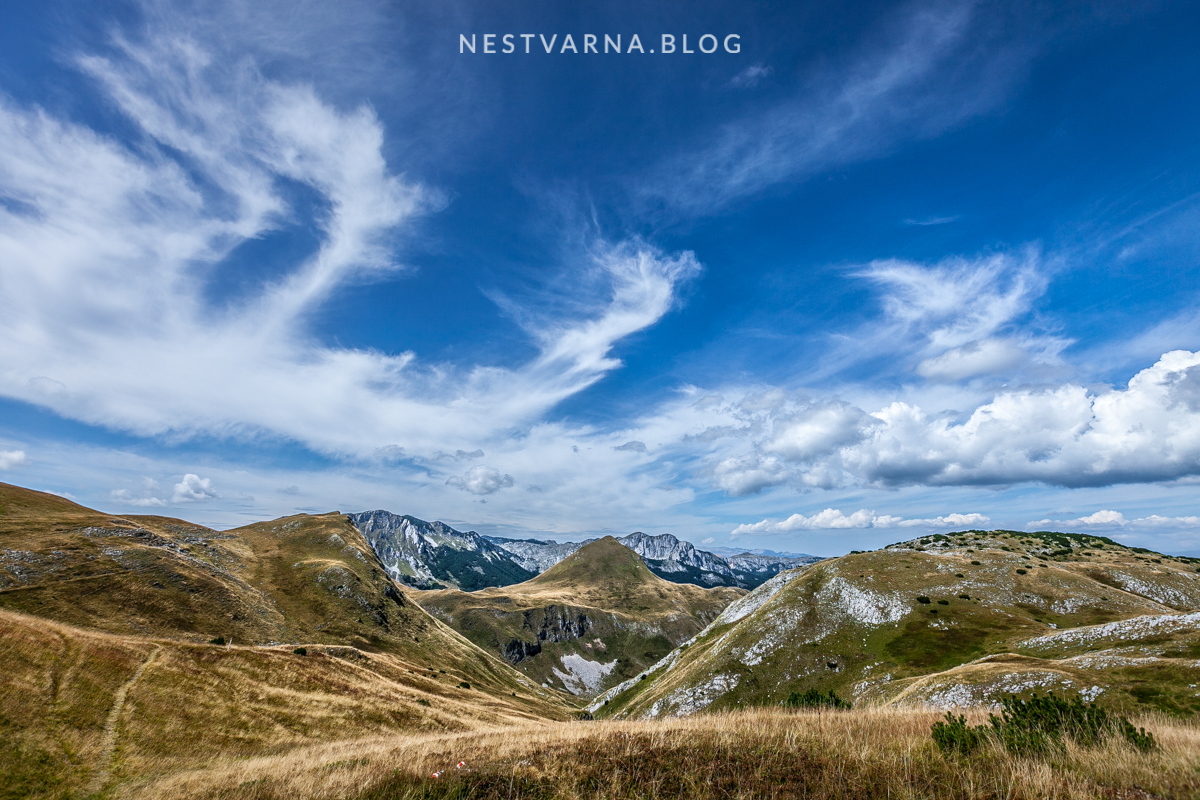 Zelengora Kotlanicko Bregoc-24