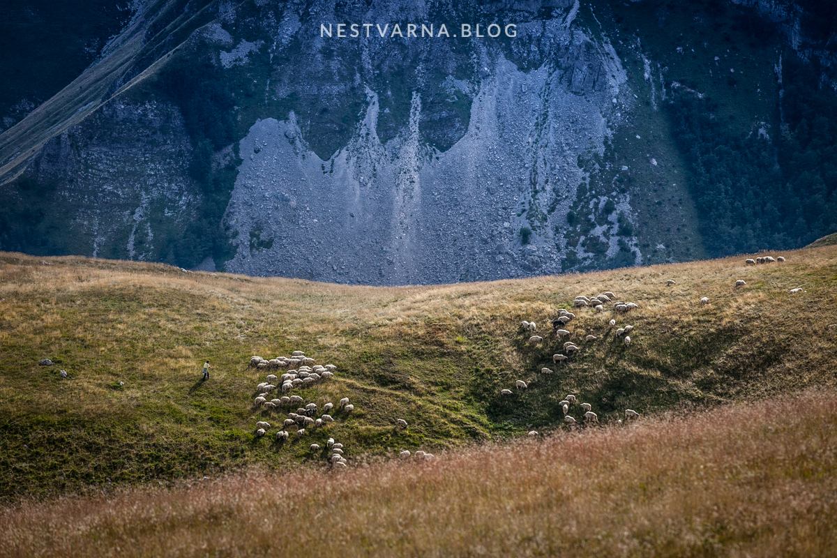 Zelengora Kotlanicko Bregoc-32