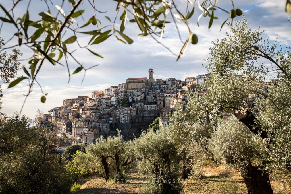 View of a hillside village surrounded by olive trees under a cloudy sky.