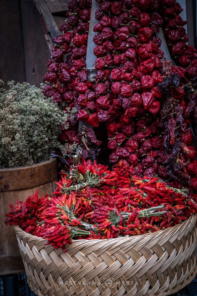 A woven basket filled with vibrant red and orange dried chilies, with strings of dried red peppers hanging in the background alongside green herbs.